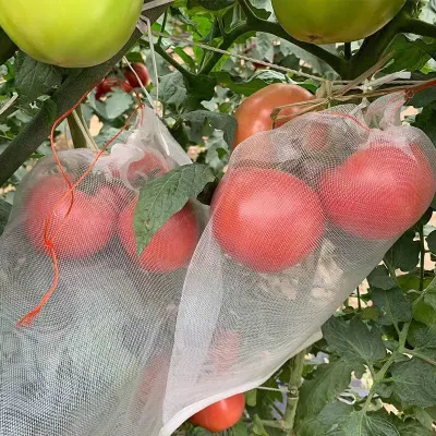 Sacchetti per protezione frutta, Sacchetti per frutta per alberi da frutto Sacchetti per rete da frutta con coulisse Sacchetti per alberi da frutto per proteggere frutta e verdura, MOQ: 100