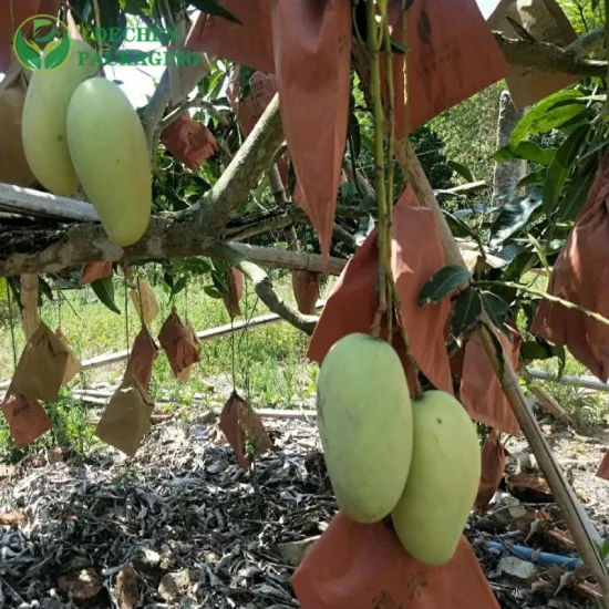 Borse protettive per la coltivazione impermeabili della frutta Borsa con copertura a tracolla in carta di mango